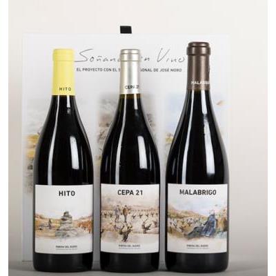 Estuche Soñando en Vino Cepa 21 | Estuche de bebidas