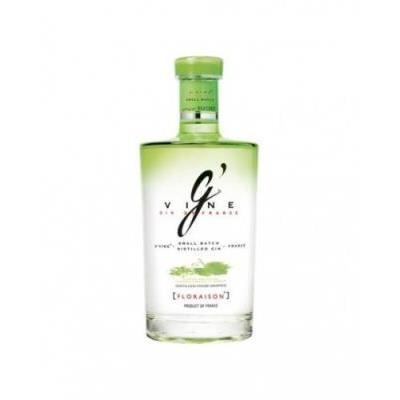 Ginebra Gvine